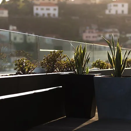 Arts In Penthouse Til Sol Appartement